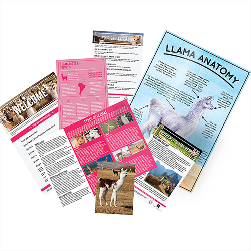 adopt a llama adopt a llama